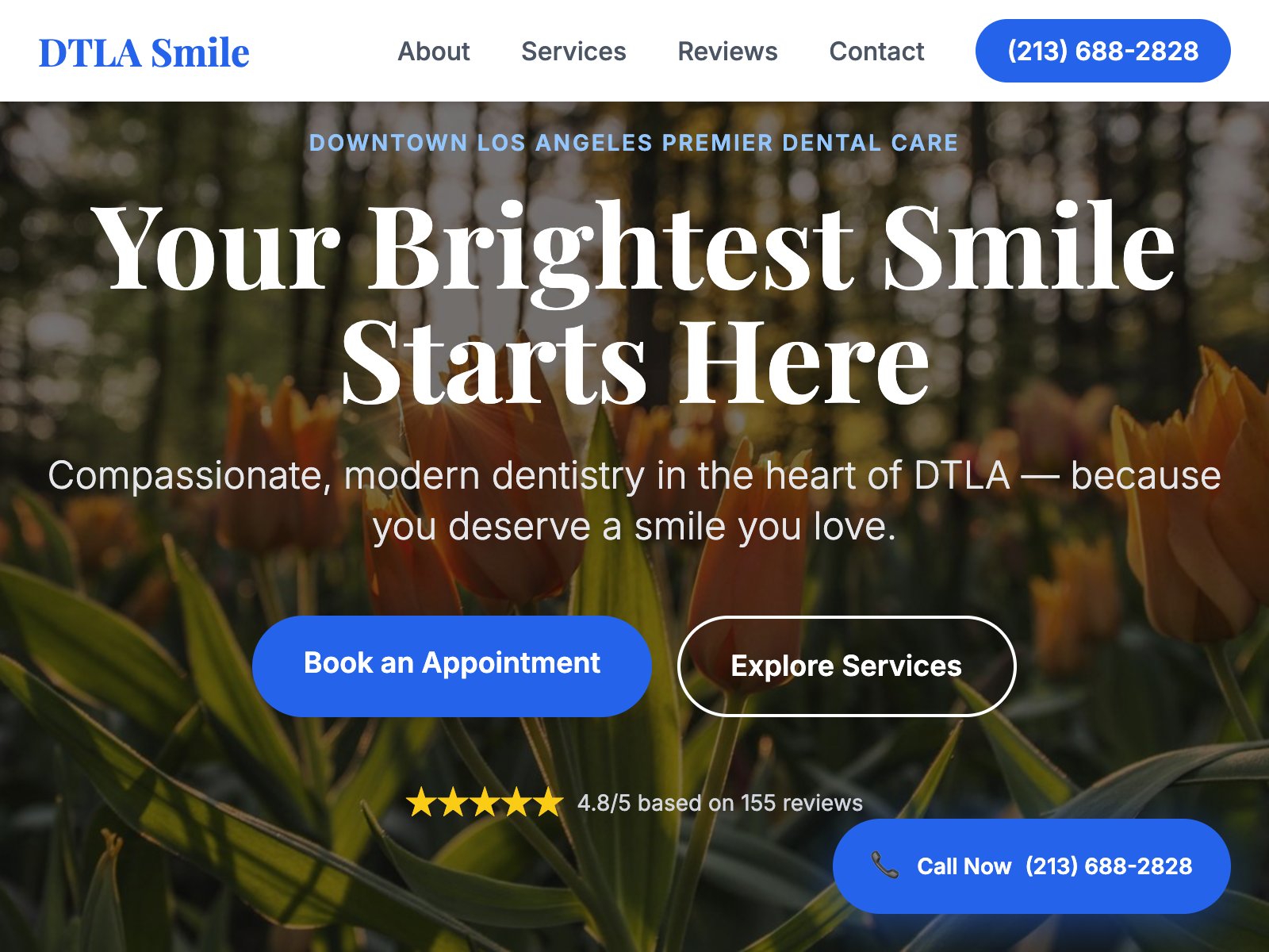 DTLA Smile demo website